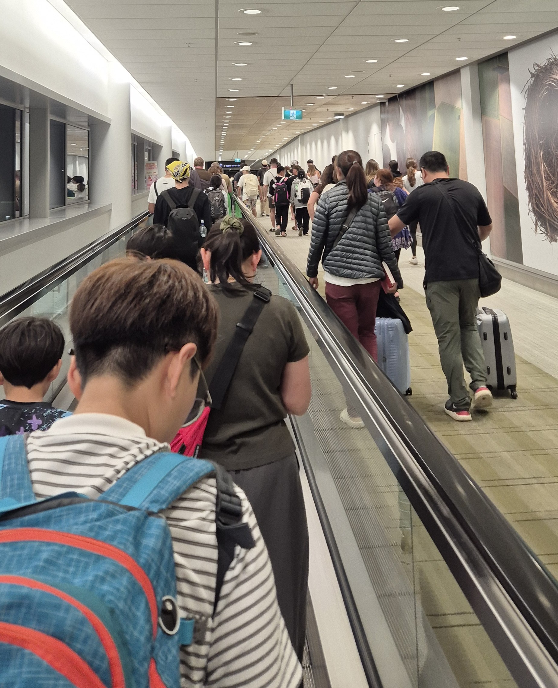 Passengers wandering like sheep